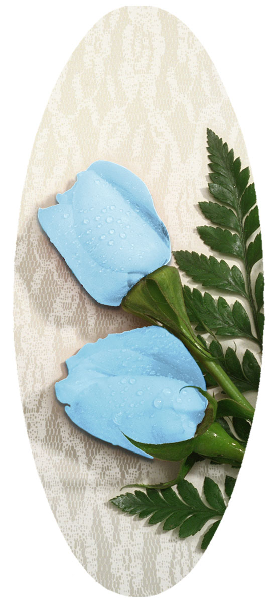 A18 2 Light BL Roses